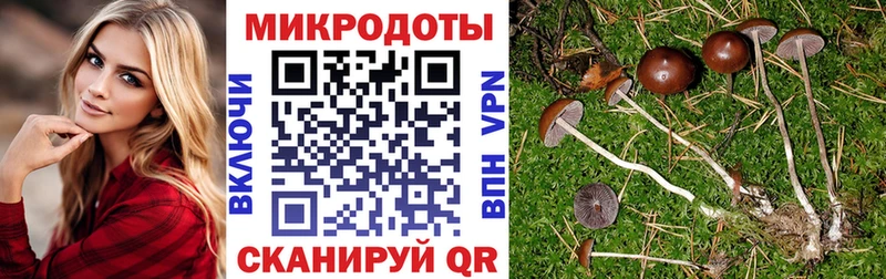 ссылка на мегу tor  Саянск  Галлюциногенные грибы Psilocybe 