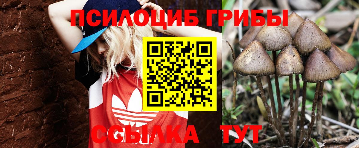 Галлюциногенные грибы мухоморы Саянск
